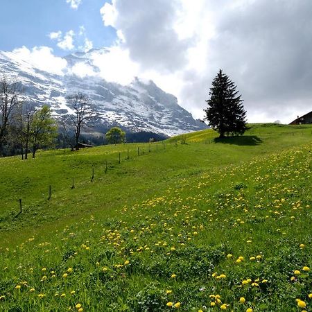 Aspen Alpine Lifestyle Hotel Grindelwald Dış mekan fotoğraf