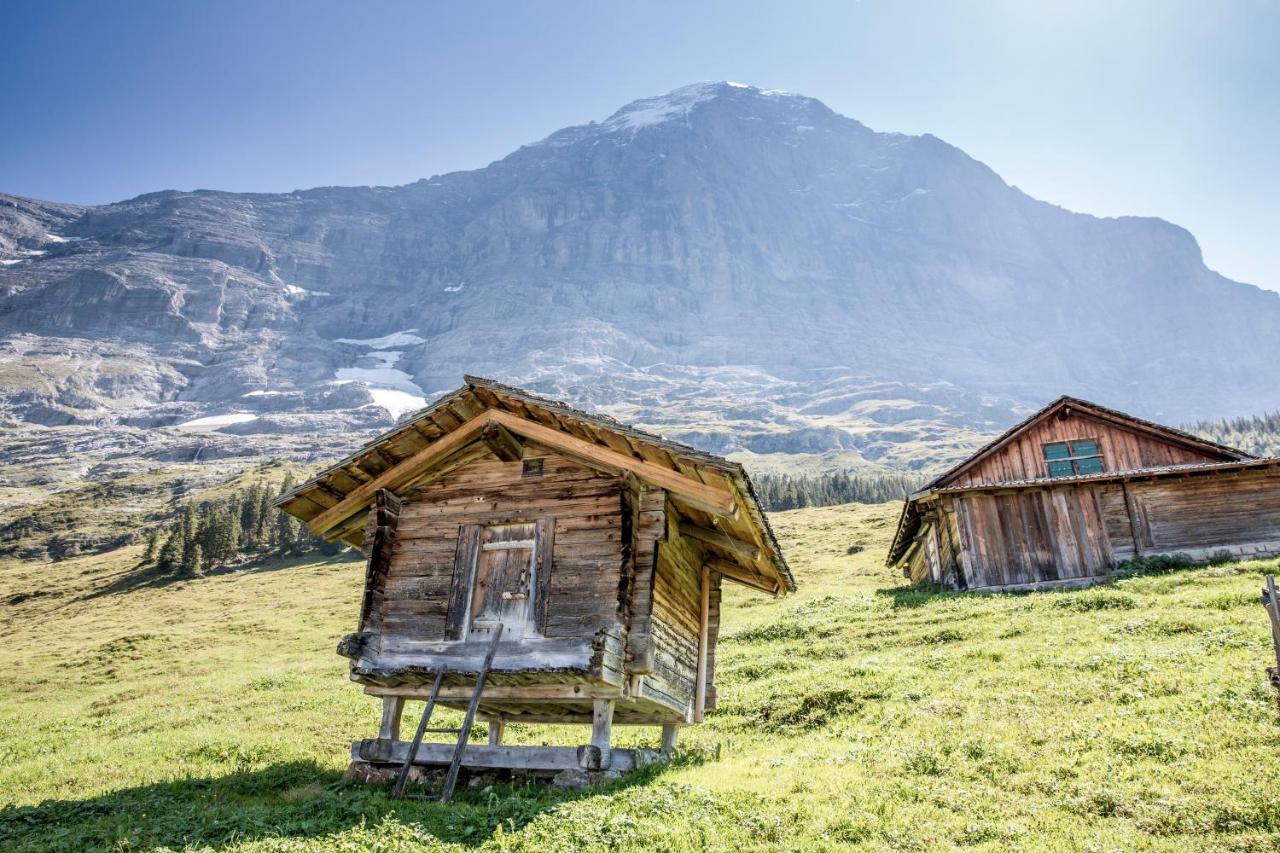 Aspen Alpine Lifestyle Hotel Grindelwald Dış mekan fotoğraf